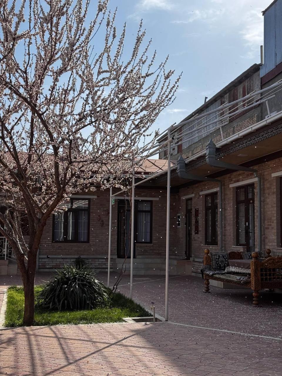 Salomat Guest House 撒马尔罕 外观 照片